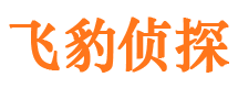 来凤外遇出轨调查取证